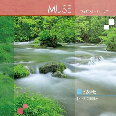 【CD】MUSE/ミューズ（知浦 伸司）