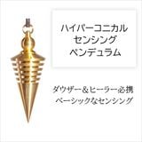 ϥѡ˥롦󥷥󥰥ڥǥ [002-136]