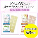 P-UP �ƥ饢���ƥ��֥��ƥå�������2/9�ʹߤ�ȯ���Ȥʤ�ޤ�