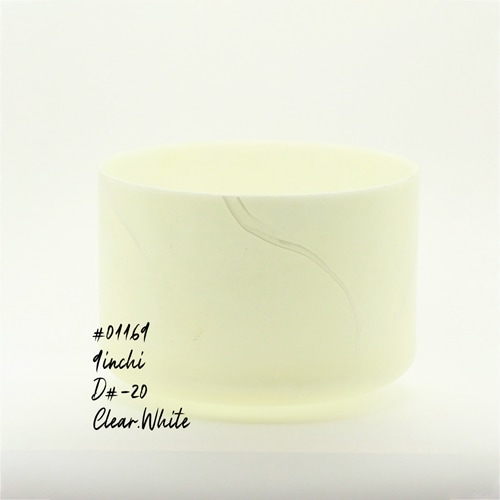 #01169【Devalite】9インチ/D#-20