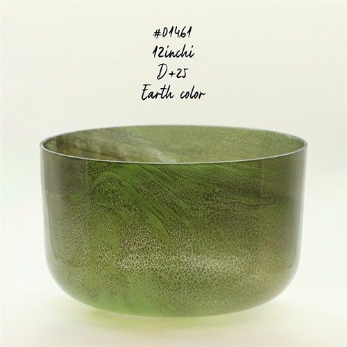 #01461【Moldavite】12インチ/D+25