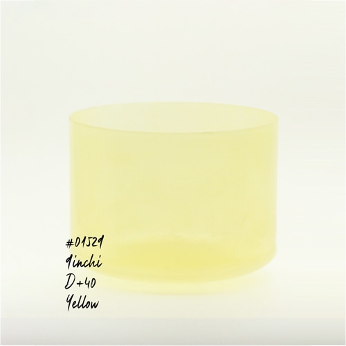 #01529【Scapolite】9インチ/D+40