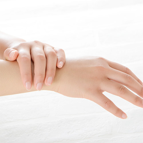 �ԡ��ʥåĥ�����ʥƥ�ץ�ӥ塼�ƥ��ե롦���ɥ�������������