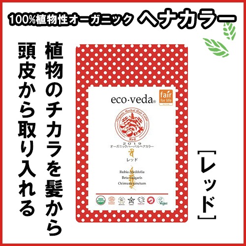 ڥ ˥åϡХإ顼ۥåɡ100%ʪȱ