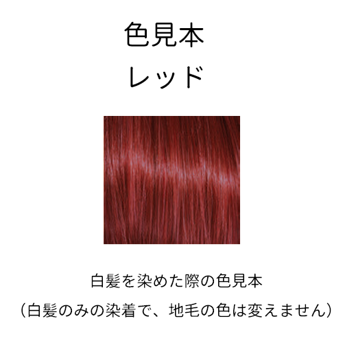 ڥ ˥åϡХإ顼ۥåɡ100%ʪȱ