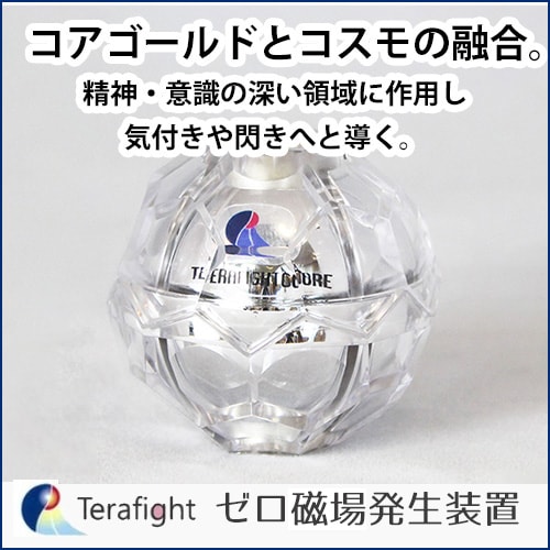 ゼロ磁場発生装置 テラファイトアース ＋ゴールドチップ(非売品) ゼロ磁場発生装置 テラファイトアース ＋ゴールドチップ(非売品