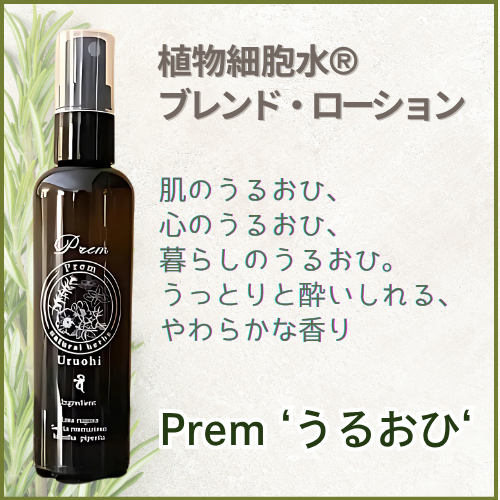 ڥۿʪ˦叢֥ɡPrem Ƥ뤪ҡơ