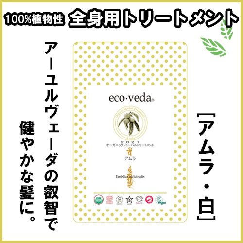 ڥ ˥åϡХȥ꡼ȥȡۥۡ100%ʪȥ꡼ȥȡ