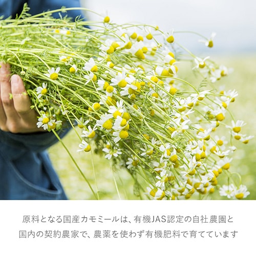 ڲ̩ۥʥ륷ס
