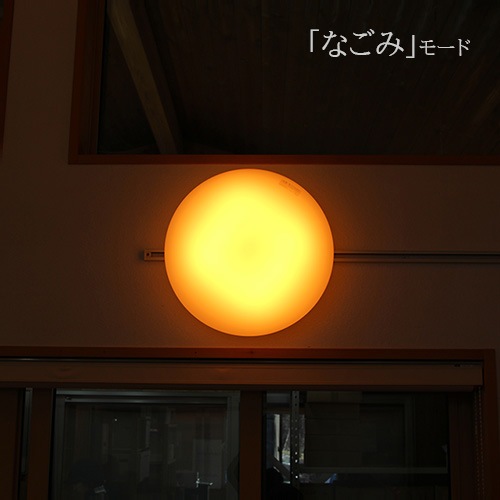 ��ͽ����ʸ���۸�LED�����������ץ�����󥰥饤�ȡ�1600K��