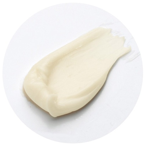 �ڲ�̩���ۥ�����С���