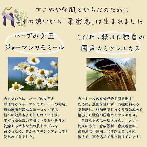 ڲ̩ۥϥɥ꡼