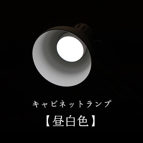 ۸LEDץӥͥåȥס򿧡ۡŵ忧
