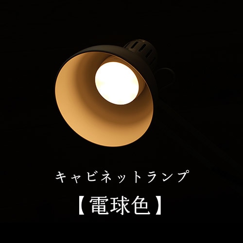 ۸LEDץӥͥåȥס򿧡ۡŵ忧