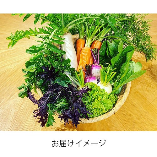 ��Ȭ���٥ԡ����ե�������������BOX 2025����6��or��12��ˡ��������ߡۢ�2026ǯ���罸���Ϥ��Τ餻�ϡں�������Ͽ�ۤ��餪�ͤ������ޤ���