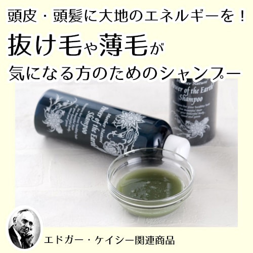 マザーネイチャー シャンプー 2本セット　エドガー・ケイシー 大地の力シャンプー（テンプルビューティフル・エドガーケイシー）