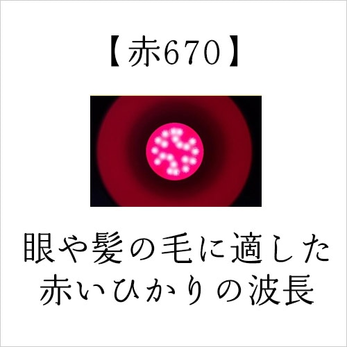 �۸�LED�����������ץ���ӥͥåȥ��ס���620(����)�ۡ���670(���ȱ����)�ۡʥ饤�ȥ���ԡ��ѡ�