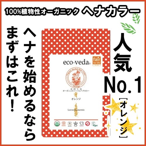 /4ĥåȡۡڥ ˥åϡХإ顼ۥ󥸡̵