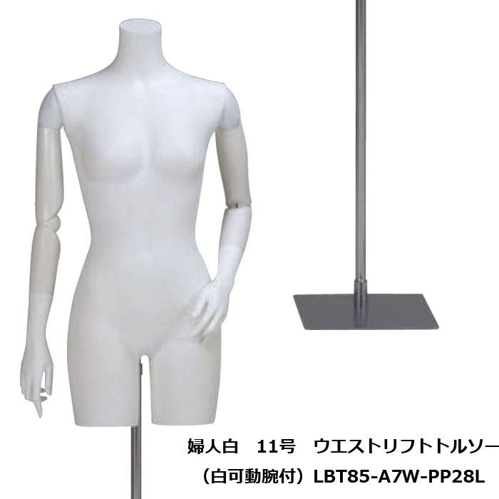 婦人白 11号 ウエストリフトトルソー 白樹脂製可動腕付 専用スチール