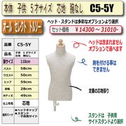 ΡҶ5ͥϡӤʤå/ɬܡ[C5-5Y]