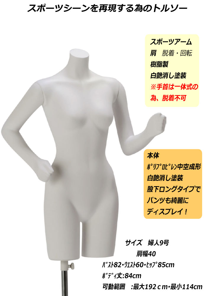 9���ؿ͡����ݡ��ĥȥ륽�������ä����إå�̵���������������ѡ�����̵��(��ҡ�Ź�ް��ϳ������ˡ�[LT70-A43-S12]