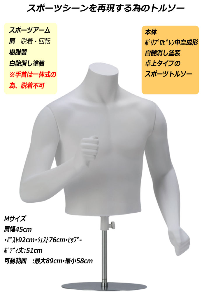 �»Ρ����ݡ������ȥ륽�������ä����إå�̵���������������ѡ�����̵����[MBZT13W-A43-72]