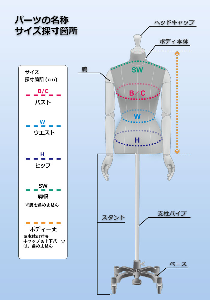 ΡҶ7ͥϡӤʤå/ɬܡ[C5-7Y]