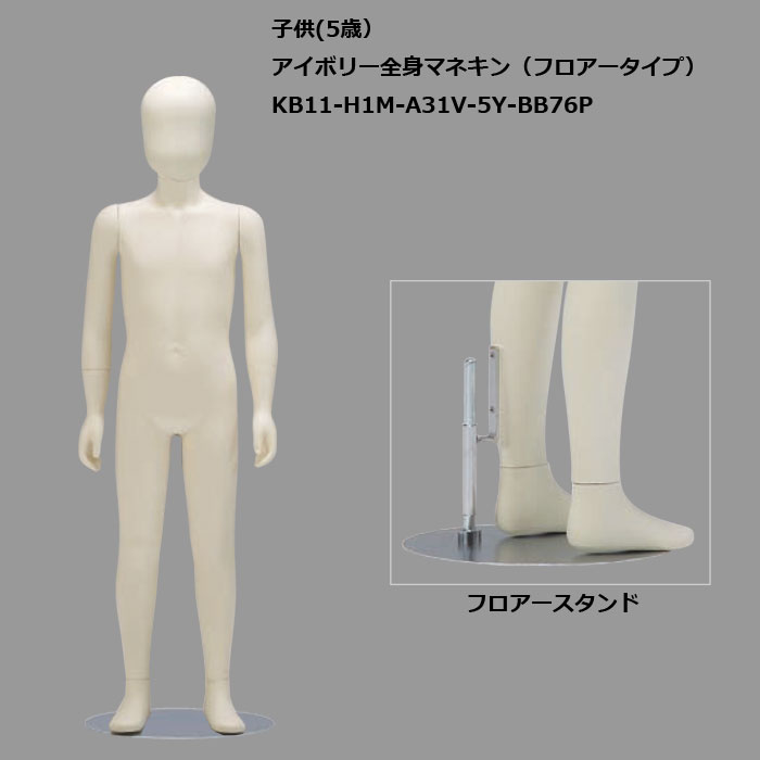 �Ҷ��ޥͥ���  5��  �����Ύގ؎��������إå��ա���������ե���������� �����������ѡ�����̵��(��ҡ�Ź�ް��ϳ�������  [KB11-H1��-A31V-5Y-BB76P]