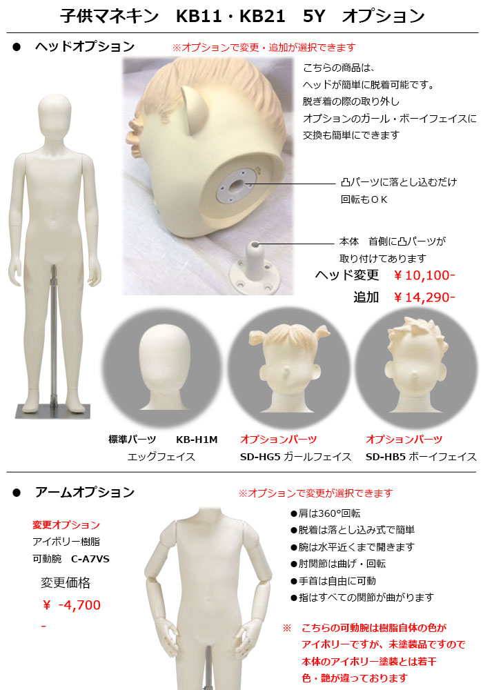 �Ҷ��ޥͥ���  5��  �����Ύގ؎��������إå��ա���������ե���������� �����������ѡ�����̵��(��ҡ�Ź�ް��ϳ�������  [KB11-H1��-A31V-5Y-BB76P]