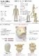 �Ҷ��ե쥭���֥�ޥͥ��󡡥���ɡ����3Y�ˡ��إå��� ���ݷ��������륹����ɡ�����̵�� [SD31-N5M-3Y-BB76P]