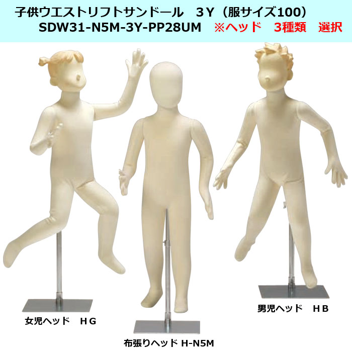 �Ҷ��ե쥭���֥�ޥͥ��󡡥������ȥ�եȥ���ɡ���3Y ���إå��ѹ����ɲ�OPͭ  ���ѥ������륹����ɡ�����̵��  SDW31-N5M-3Y-PP28UM