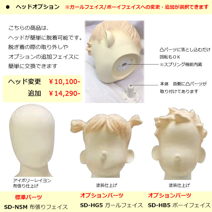 �Ҷ��ե쥭���֥�ޥͥ��󡡥������ȥ�եȥ���ɡ���3Y ���إå��ѹ����ɲ�OPͭ  ���ѥ������륹����ɡ�����̵��  SDW31-N5M-3Y-PP28UM