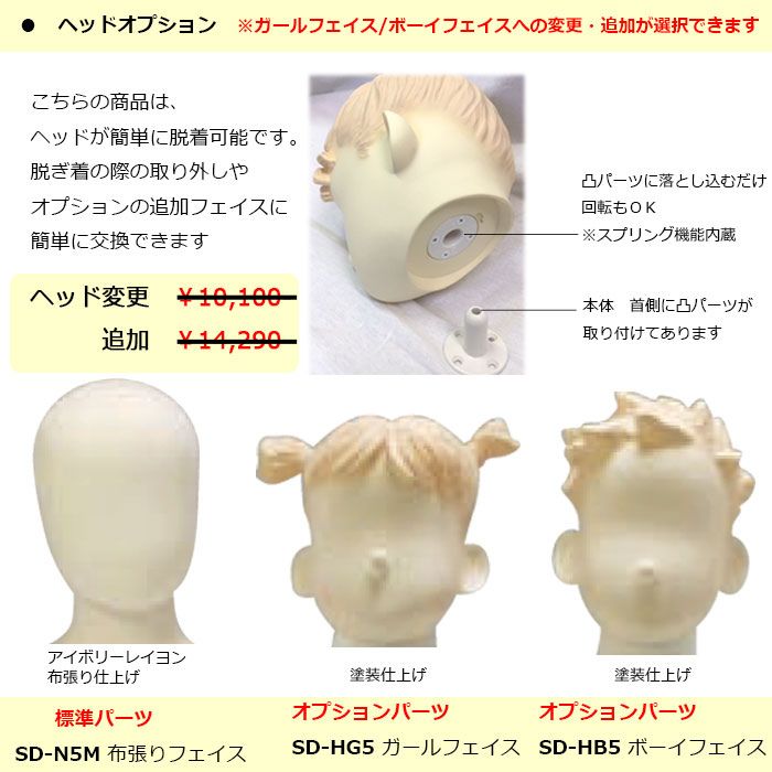 �Ҷ��ե쥭���֥�ޥͥ��󡡥������ȥ�եȥ���ɡ���3Y ���إå��ѹ����ɲ�OPͭ  ���ѥ������륹����ɡ�����̵��  SDW31-N5M-3Y-PP28UM