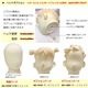 �Ҷ��ե쥭���֥�ޥͥ��󡡥������ȥ�եȥ���ɡ���3Y ���إå��ѹ����ɲ�OPͭ  ���ѥ������륹����ɡ�����̵��  SDW31-N5M-3Y-PP28UM