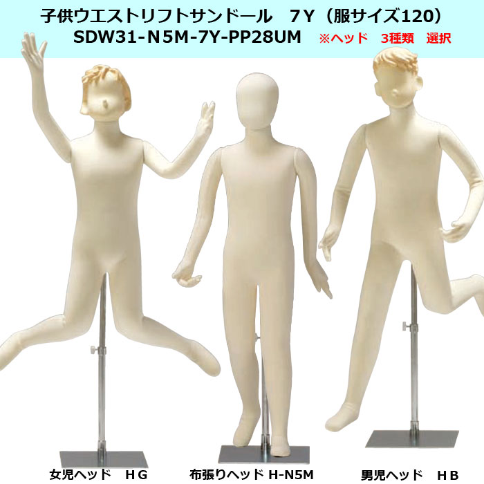 �Ҷ��ե쥭���֥�ޥͥ��󡡥������ȥ�եȥ���ɡ���7Y   �إå��ѹ����ɲ�OPͭ  ���ѥ������륹����� ������̵�� SDW31-N5M-7Y-PP28UM