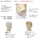 �ե쥭���֥�ޥͥ����˻�����˥�������������ɡ����15Y�ˡ��إå��� ���ݷ��������륹����ɡ�����̵��(��ҡ�Ź�ް��ϳ������� [SD31B-H-15Y-BB78P]