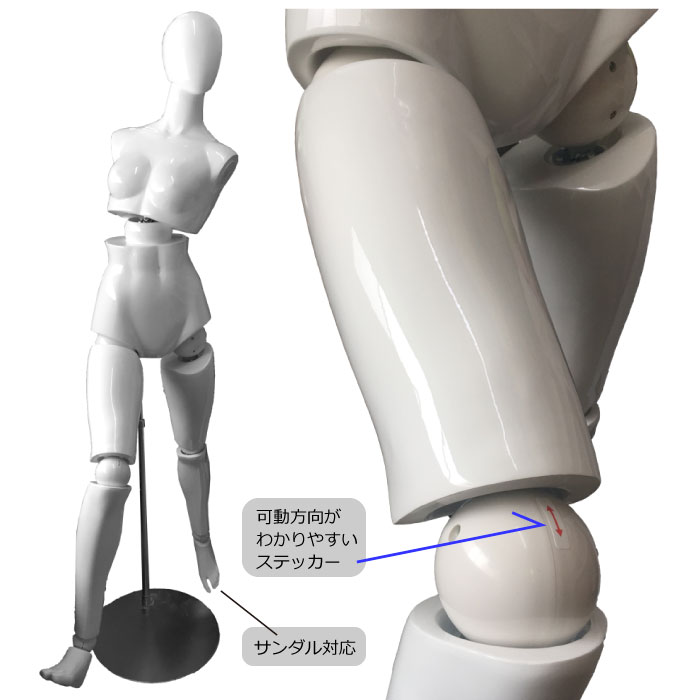 �˥塼����ɡ��롡��󥺡��������ʱ�ͭ��ˡ������ư�ޥͥ������ѥ������ȥ�եȥ�������ա�����̵��(��ҡ�Ź�ް��ϳ������� [SDM14-H4U-A7W-SDMST]