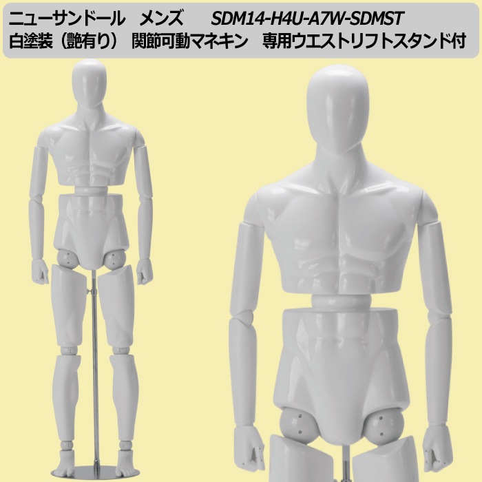 �˥塼����ɡ��롡��󥺡��������ʱ�ͭ��ˡ������ư�ޥͥ������ѥ������ȥ�եȥ�������ա�����̵��(��ҡ�Ź�ް��ϳ������� [SDM14-H4U-A7W-SDMST]