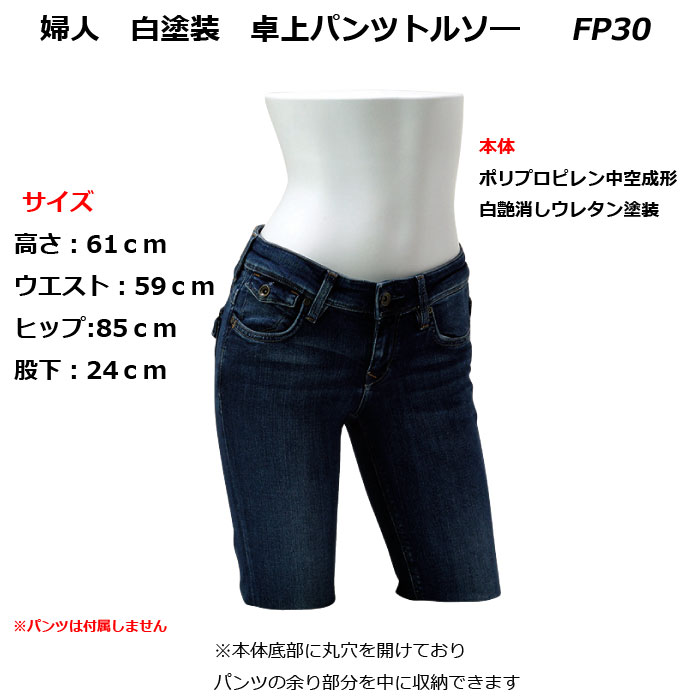 �ؿ͡����ä����� ���ѥ�ĥȥ륽�����������������ѡ�FP30