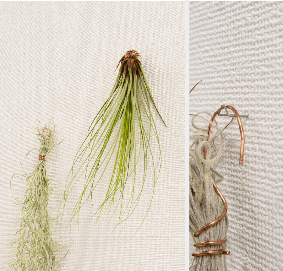 Makuakeにて先行販売【WALL CLIP PIN】はさむ・かける・おく で壁が片付く、飾れる石膏ボード用ピン