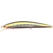 Jackson(㥯) ߥΡ ꡼ȡ14SS IBյ