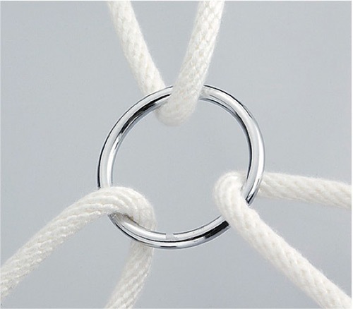 リング(クローム) 6×100 ［5個］リング クロームメッキ |ネジ・ボルト