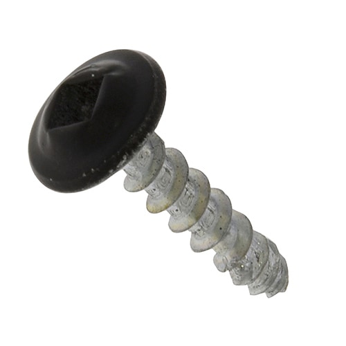 SELECTS 2��4���Ѥͤ��������� 2��4��2��6���� �� ��240�� (60�ܡ�4���å�)�� #�ͥ�