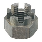 ���եʥå� Ŵ ���� ��1��ñ����������Ȣ���