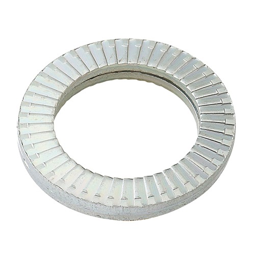  (W) �Υ�ȥ��å���å��㡼  ������ͤ�