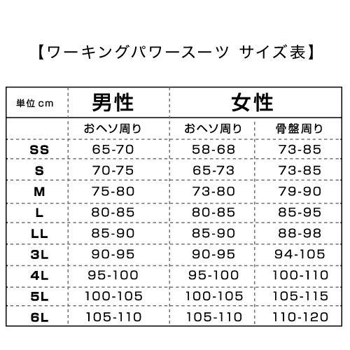 NSP ワーキングパワースーツ サイズ【M】 スーツ(単品) アシストスーツ
