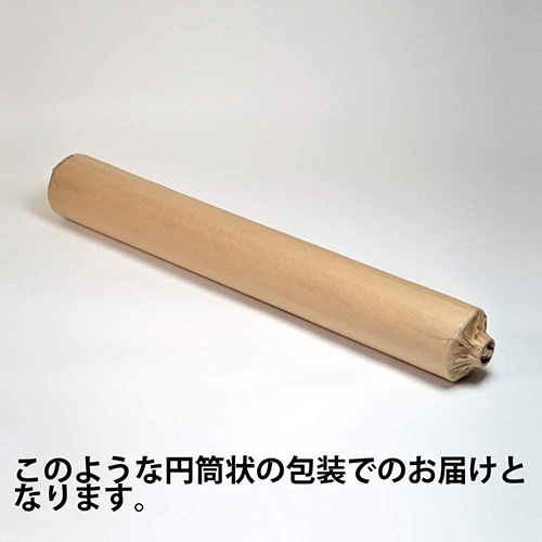 KJ 感染対策 軟質塩ビt0.25_1000×50M防炎タイプ FAA470 河淳 KAWAJUN