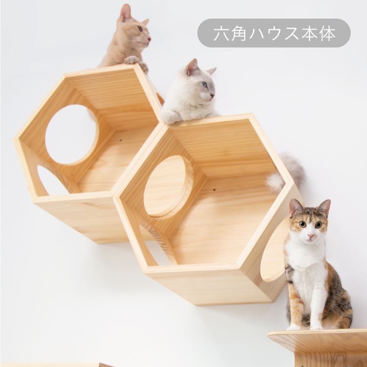 MYZOO �ޥ����� ϻ�ѥϥ��� ����åȥ��ƥå����� ��1�ġ� #ǭ ����å� �������� ���ƥå� ��� ������� ê ������� ���դ� ��������å���