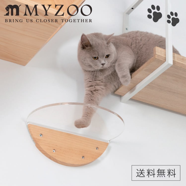 MYZOO �ޥ����� ROUND LACK CLEAR �饦��ɥ�å� ���ꥢ ��1�ġ� ����åȥ������� ����åȥ��ƥå� #ǭ ����å� ������� ê ���դ� ��������å���