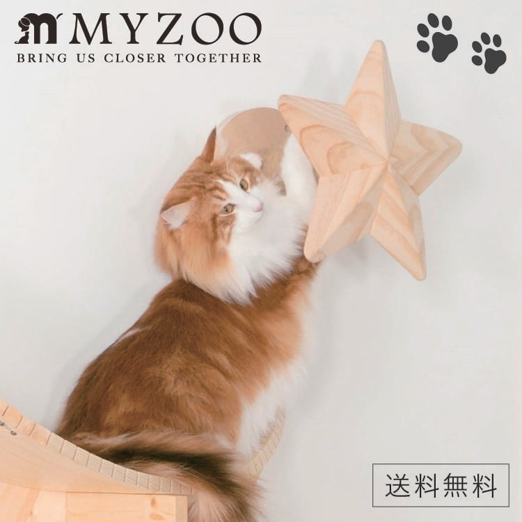 MYZOO �ޥ����� STAR ������ ��1�ġ� ����åȥ������� ����åȥ��ƥå� #ǭ ����å� ������� ê ���դ� ��������å���